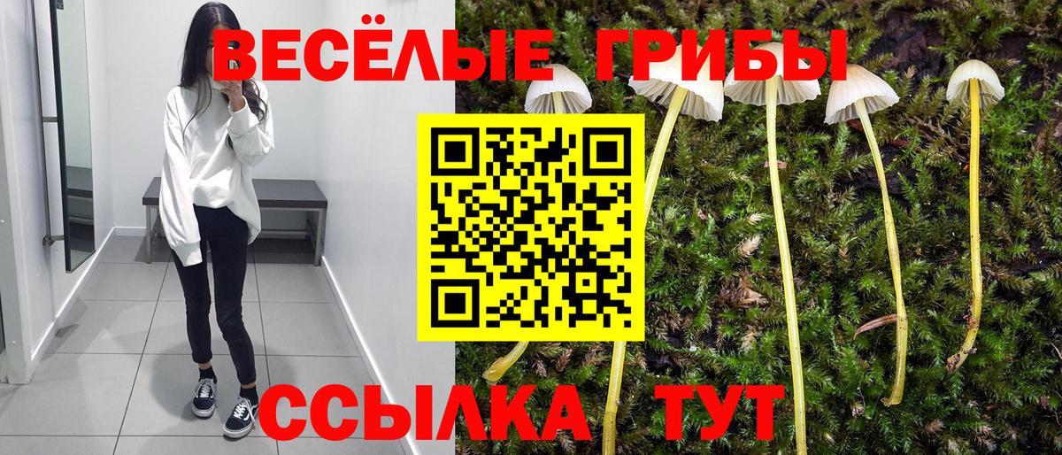 Канск  Галлюциногенные грибы MAGIC MUSHROOMS  Вход с VPN 