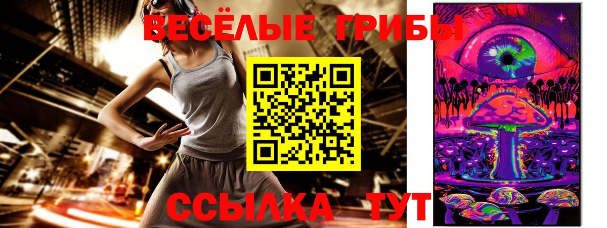 Псилоцибиновые грибы GOLDEN TEACHER Канск